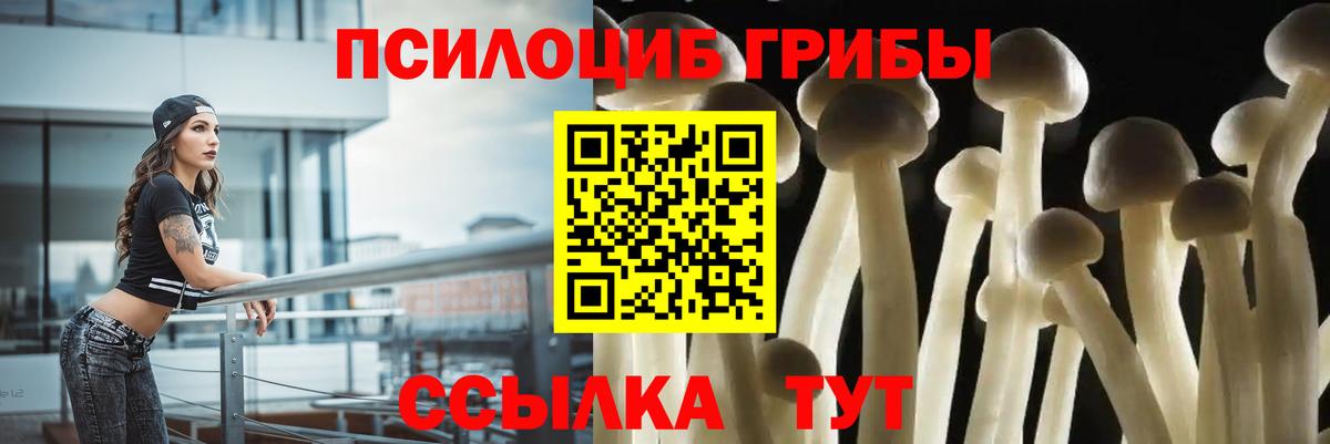 Жигулёвск  цена наркотик  Вход с VPN  Галлюциногенные грибы Magic Shrooms  Псилоцибиновые грибы Psilocybe 